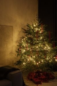 Kaboompics - Cozy Christmas Tree With Lights in Living Room
