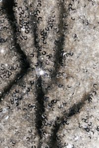 Kaboompics - Taupe Sequin Textile Close-Up