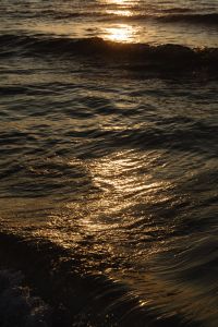Kaboompics - Warm Sun Glint on Rolling Sea Waves, Dark Background