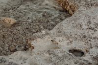 Kaboompics - Pitted Limestone Rock and Shallow Pebble Water