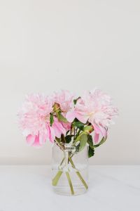 Kaboompics - Pink Peony Bouquet in Glass Vase on White Marble