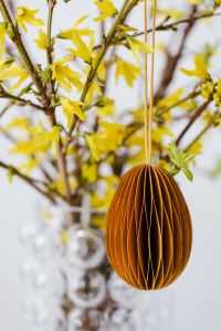Kaboompics - Easter with Forsythia