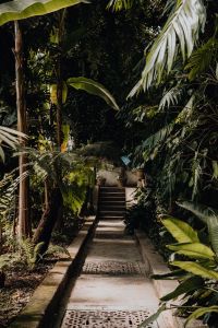 Kaboompics - Green Garden View at Real Jardin Botanico