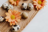 Kaboompics - Macro Speckled Quail Eggs and Orange Gerberas for Spring Recipe Backgrounds