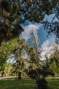 Kaboompics - The Buen Retiro Park in Madrid, Spain