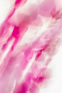 Kaboompics - Vertical Pink Orchid Motion Blur Background