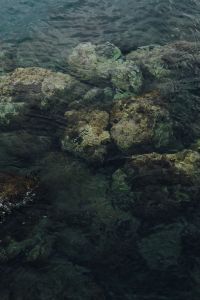 Kaboompics - Dark Green Seawater over a Rocky Shoreline