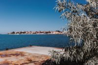 Kaboompics - Sea View Framed by Silver-Green Tree Near Nessebar Waterfront