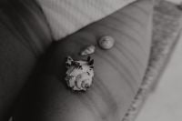 Kaboompics - Black and White Beach Detail with Seashells Resting on Sunlit Skin