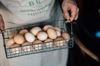 Kaboompics - Wire mesh basket with fresh farm eggs