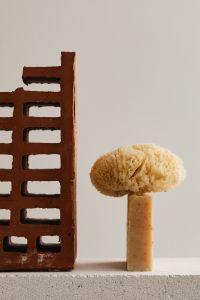 Kaboompics - Sea Sponge on a Wooden Brush Beside a Brick Stand