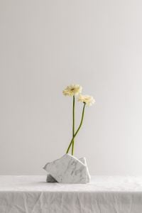 Kaboompics - Two White Flowers in a Marble Vase on a White Table