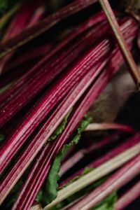 Kaboompics - Long Ruby Beet Stems and Green Foliage in Close-Up, Moody Produce Wallpaper for Recipe Content