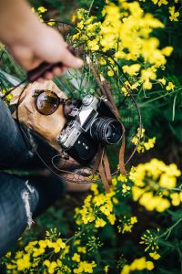 Woman with vintage camera in the field of blooming rapes