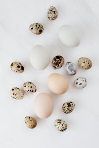 Kaboompics - Close-Up Speckled Quail and Chicken Eggs on White Marble, Minimal Food Background