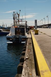 Kaboompics - Fishing Boats Moored Along Sunny Harbor Pier