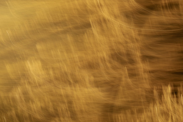 Warm Golden Motion Blur Streaks, Soft Horizontal Background for Design ...