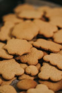 Homemade gingerbread cookies