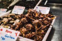 Kaboompics - Sea Snails and Whelks at Barcelona's La Boqueria