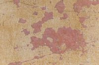 Kaboompics - Ochre Stucco with Red Peeling Spots