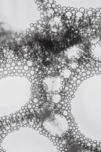 Kaboompics - Abstract Foam Structure With Soft Organic Shapes