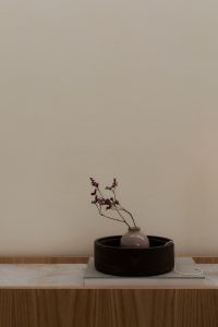 Kaboompics - Wabi Sabi Home Decor Close-Up with Vase and Dried Branches