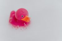 Kaboompics - Pink rubber ducky in foam
