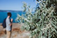Kaboompics - Shoreline Foliage with a Blurred Man Looking Out to Sea