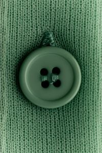 Kaboompics - Sage green oversized button on sheer mesh fabric background