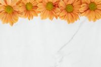 Kaboompics - Golden Chrysanthemum Border Across Marble Copy Space