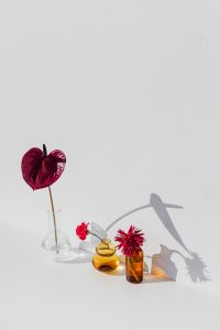 Kaboompics - Pink and Red Flowers with a Burgundy Anthurium in Amber Glass Vases