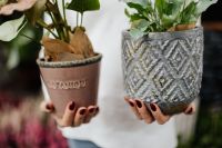 Kaboompics - Woman holds flebodium & caladium