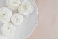 Kaboompics - White Ranunculus on a Speckled Surface, Overhead Floral Still Life