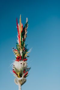 Kaboompics - Palm Sunday - Niedziela Palmowa