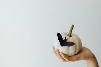 Kaboompics - Hand Holding White Pumpkin with Bat and Copy Space