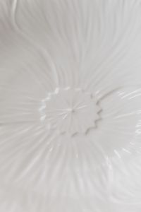Kaboompics - Pantone 2026 Abstract White Radial Texture