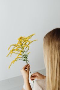 Kaboompics - Woman Holding Goldenrod in a White Blouse for Minimal Floral Portraits