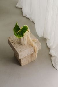 Kaboompics - Japandi Plant Styling on Travertine Pedestal Beside Sheer Curtains