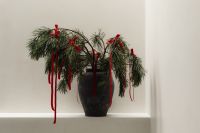 Kaboompics - Wide Evergreen Branches and Red Ribbons in Black Vase on White Shelf
