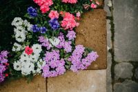 Kaboompics - Flower shop in Castelfranco Veneto, Italy