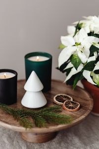Kaboompics - Christmas Decor with Green and Black Candles and Dried Oranges
