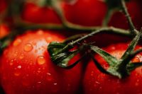 Kaboompics - Water Drops on Ripe Tomato Skin, Macro Food Texture