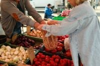 Kaboompics - Fruit and Vegetable Display at a Farmers Market