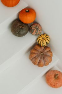 Kaboompics - Close-Up Autumn Pumpkins in a White Alcove