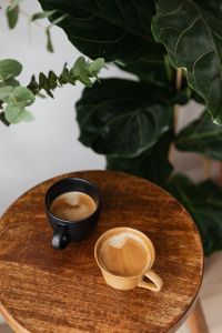 Kaboompics - Green Plant Leaves Above Coffee Cups on a Wooden Table