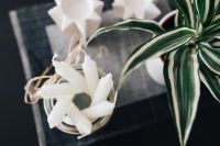 Kaboompics - White candles with a plant