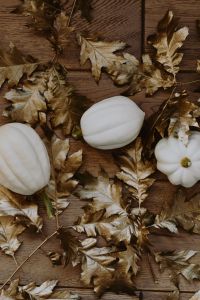 Kaboompics - White pumpkins with golden oak leaves