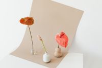 Kaboompics - Single Calla Lily in White Vase on Beige Background