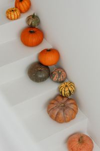 Kaboompics - Close-Up Pumpkins on White Geometric Steps