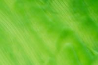 Kaboompics - Abstract Lime Green Blurred Texture Background